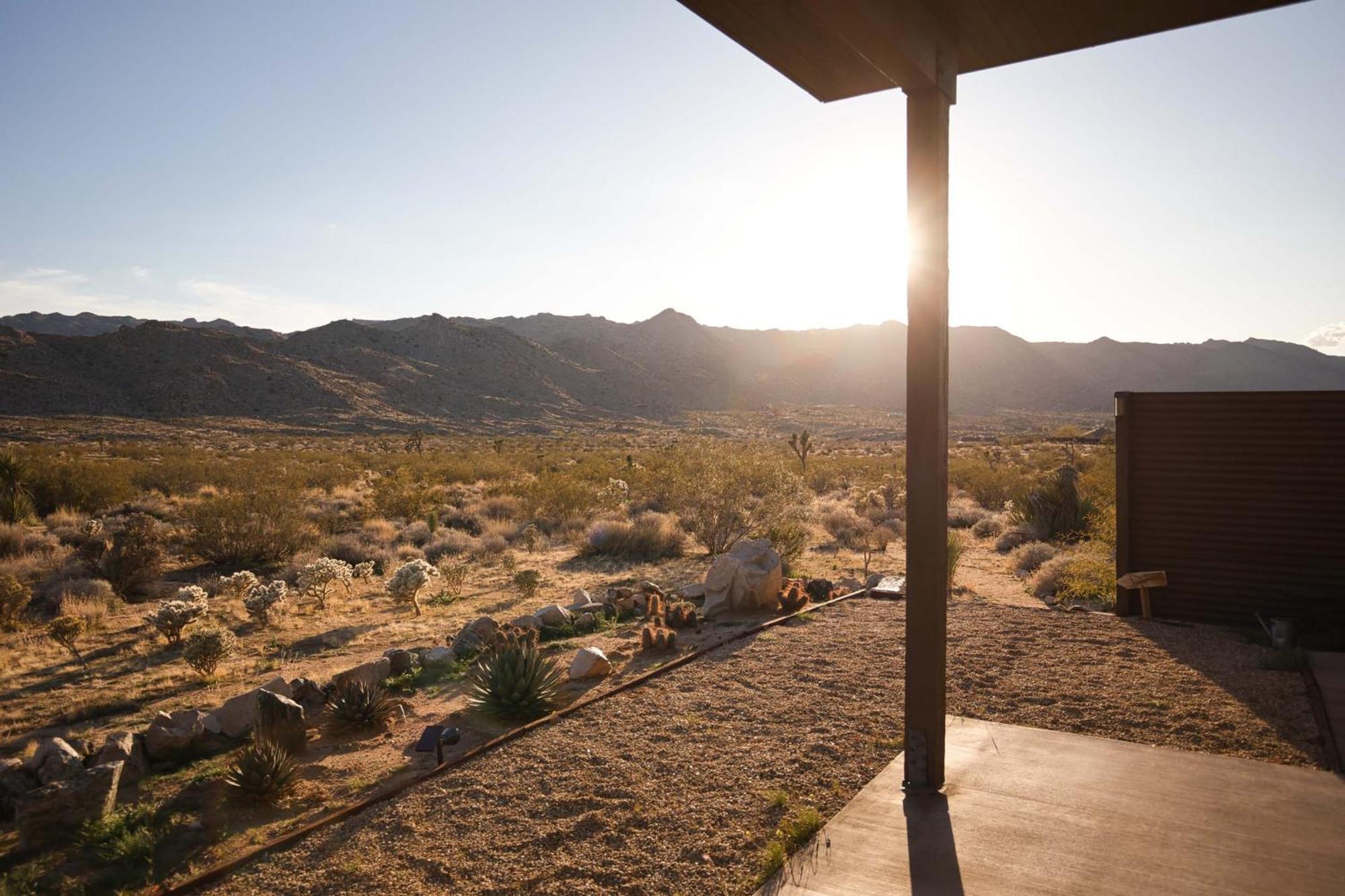 Quails Nest L Classic At Park Entrance Joshua Tree